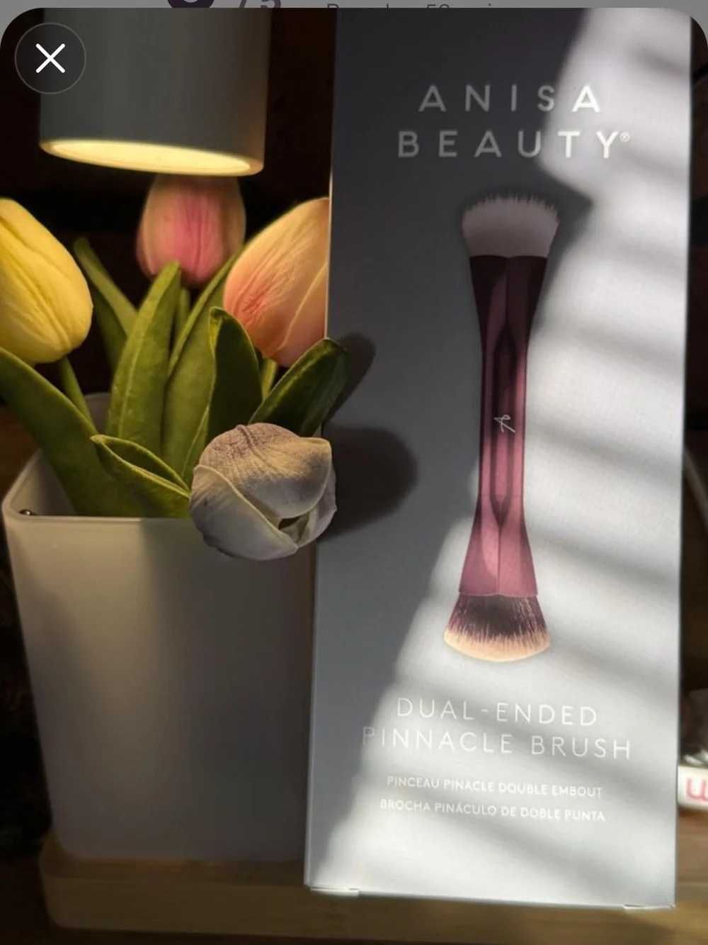 Dual-Ended Pinnacle Brush comes with bag!